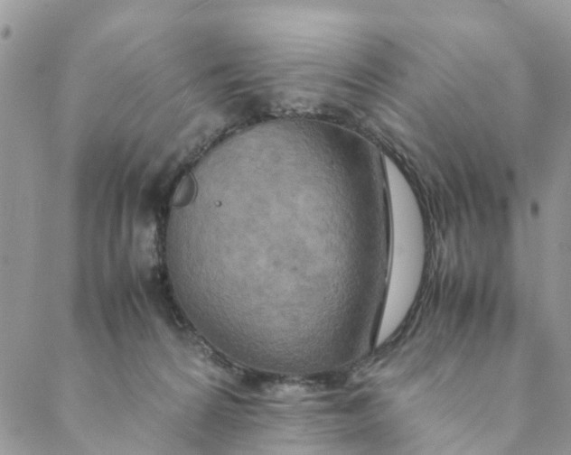 X0000088460224200706121512