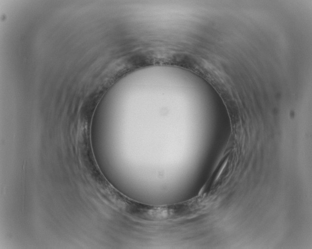 X0000088460225200706121512