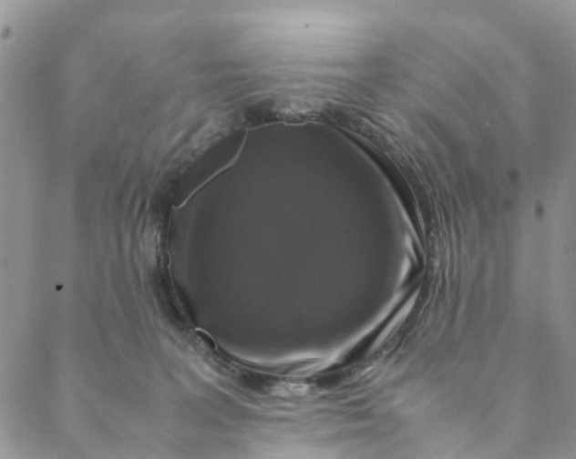 X0000088460227200706121512