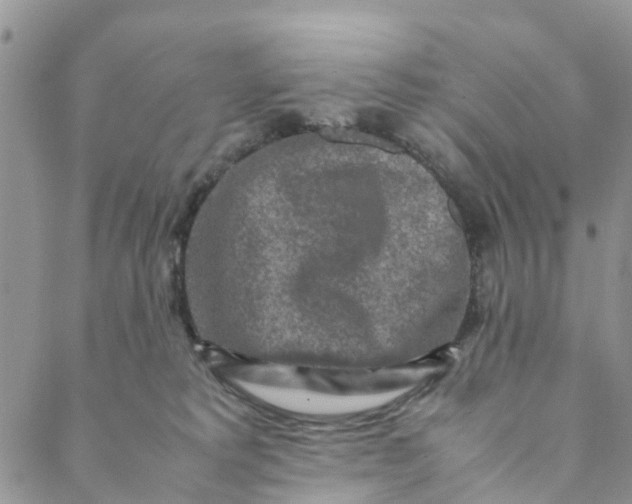 X0000088460229200706121512