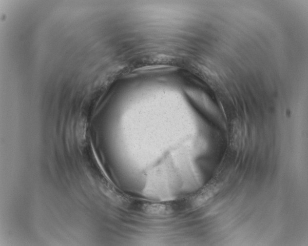 X0000088460230200706121512