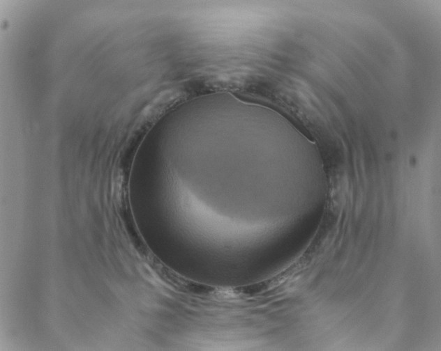 X0000088460231200706121512