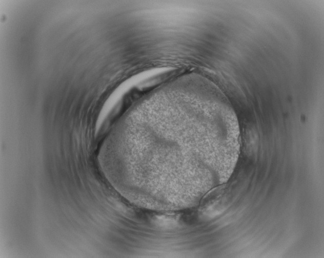 X0000088460232200706121512