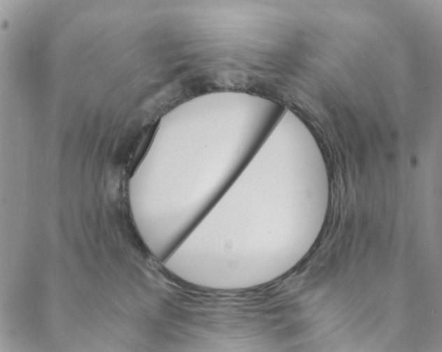 X0000088460233200706121512