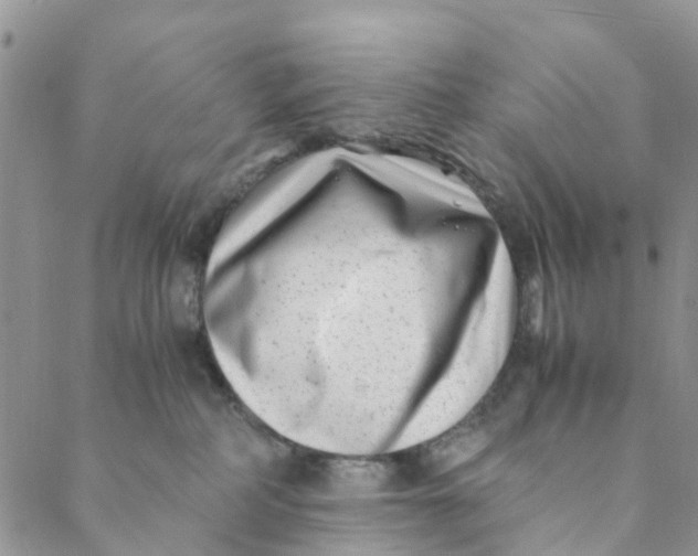 X0000088460234200706121512