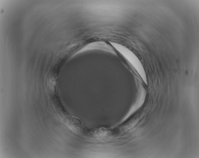 X0000088460235200706121512