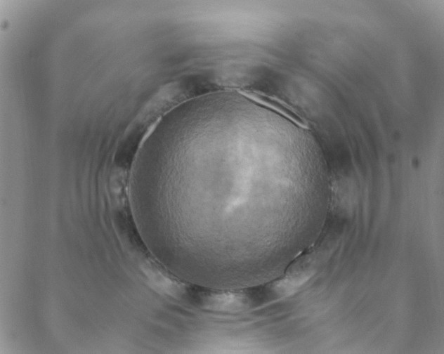 X0000088460237200706121512