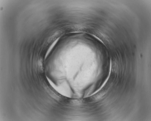 X0000088460238200706121512