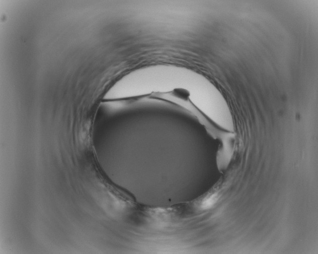 X0000088460239200706121512