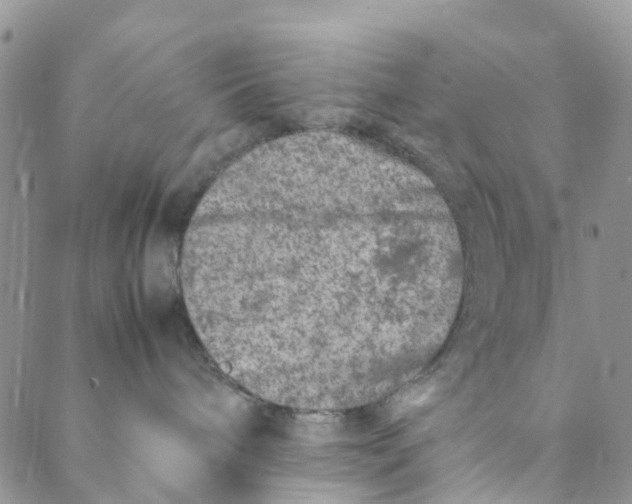 X0000088460240200706121512