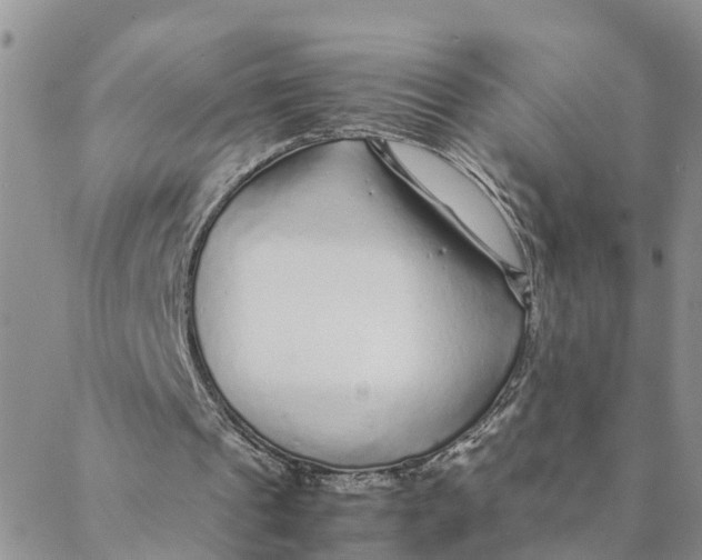 X0000088460241200706121511