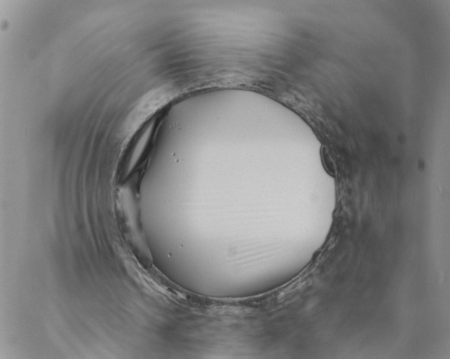 X0000088460242200706121511