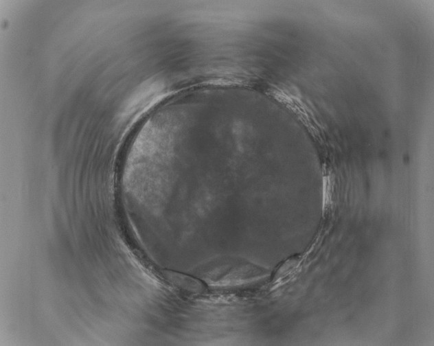 X0000088460243200706121511