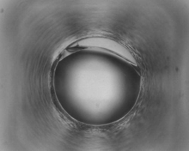 X0000088460244200706121511