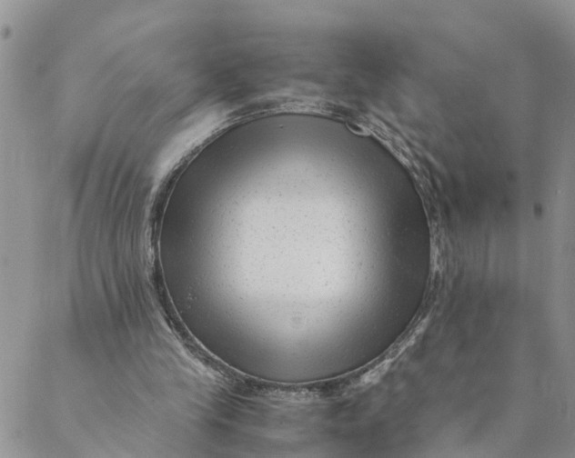 X0000088460245200706121511