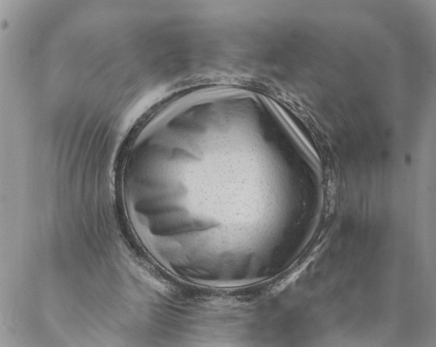 X0000088460246200706121511