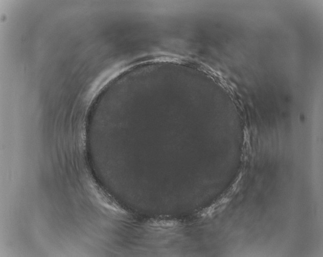 X0000088460247200706121511