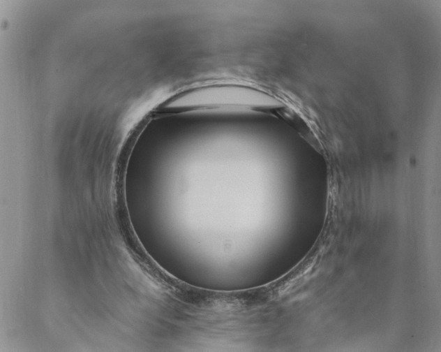 X0000088460248200706121511