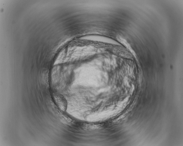 X0000088460249200706121511