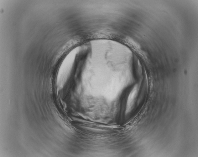 X0000088460250200706121511