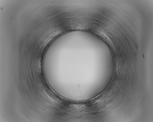 X0000088460251200706121511