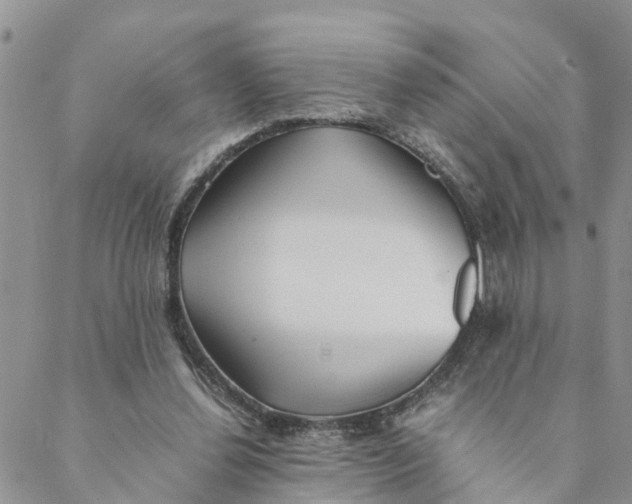 X0000088460252200706121511