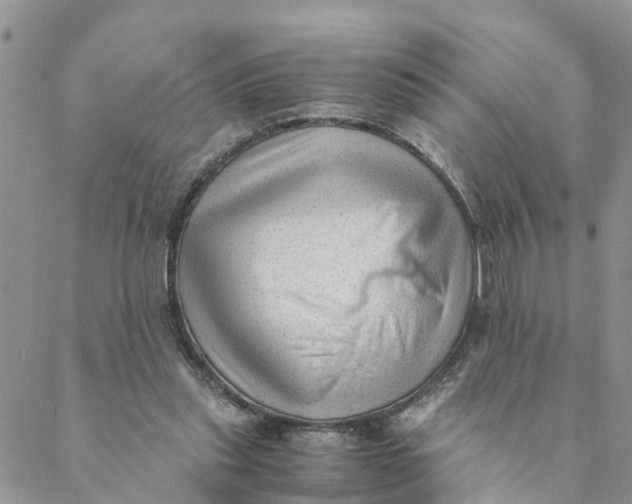 X0000088460253200706121511