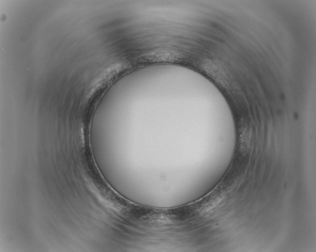 X0000088460254200706121511