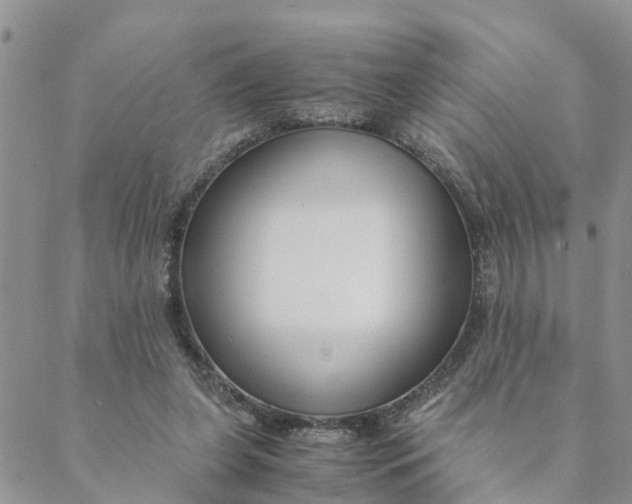 X0000088460255200706121511