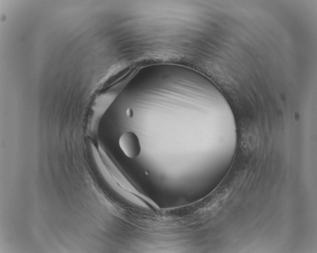 X0000088460256200706121511