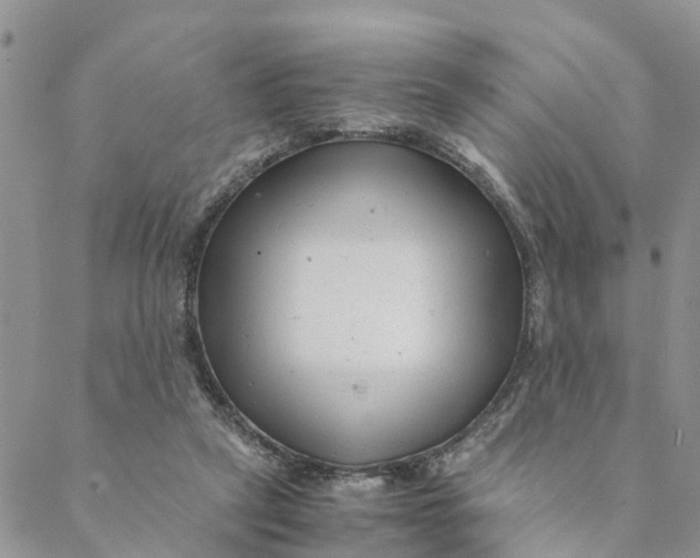 X0000088460257200706121511