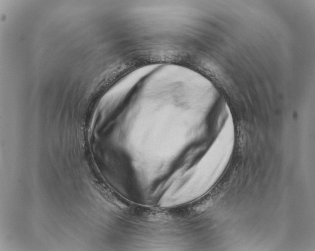 X0000088460258200706121511