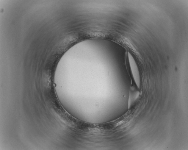 X0000088460259200706121511