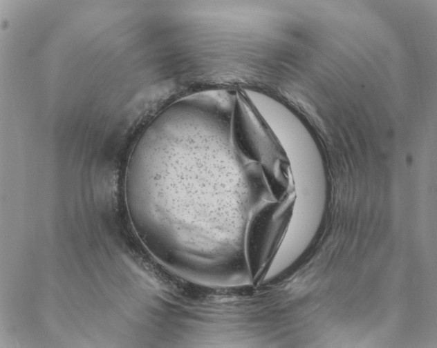 X0000088460260200706121511