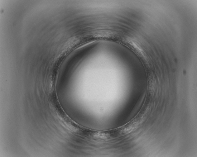 X0000088460261200706121511