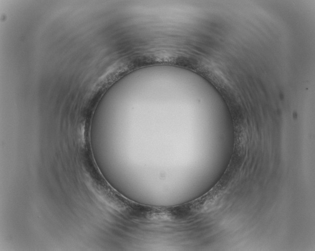 X0000088460262200706121511