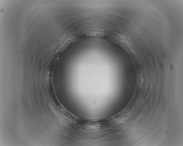 X0000088460263200706121511