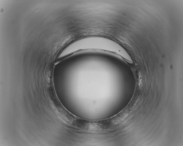 X0000088460264200706121511