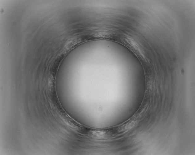 X0000088460265200706121512