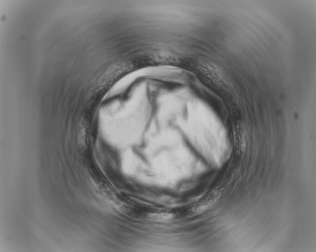 X0000088460266200706121512