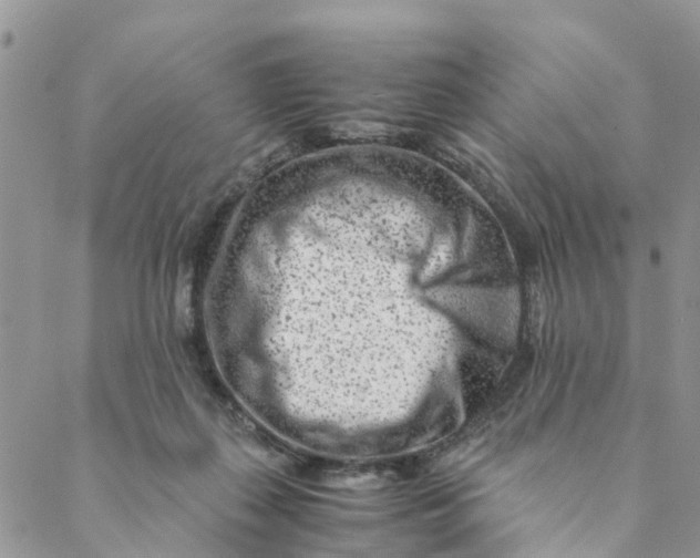 X0000088460267200706121512