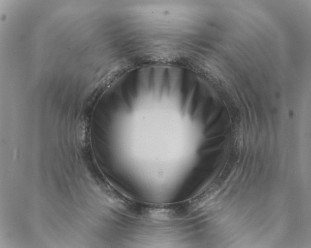 X0000088460268200706121512