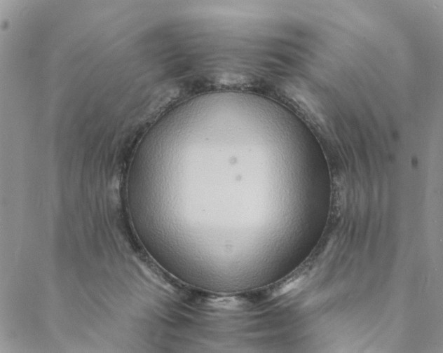 X0000088460269200706121512