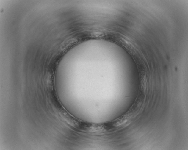 X0000088460270200706121512