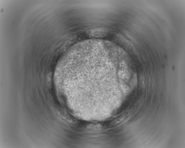 X0000088460271200706121512