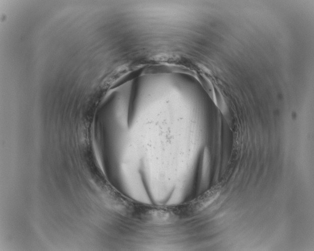 X0000088460272200706121512