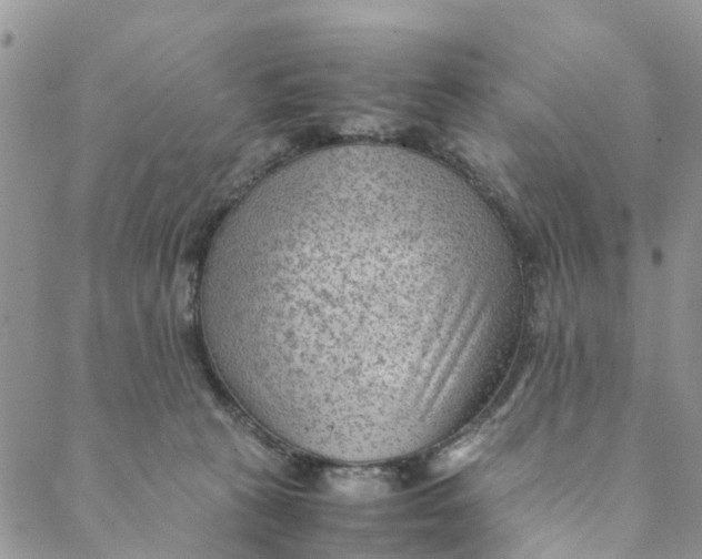 X0000088460273200706121512