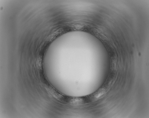 X0000088460274200706121512