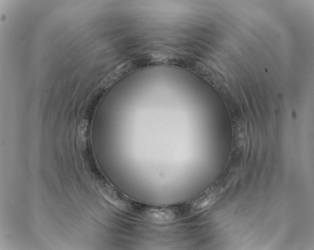 X0000088460275200706121512