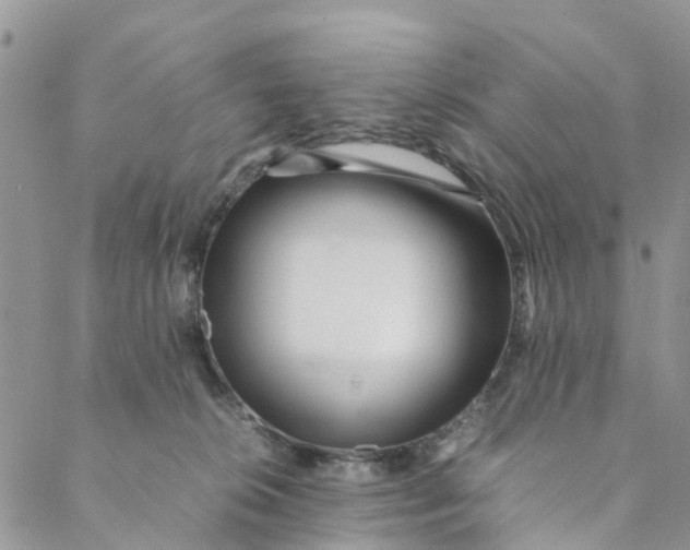 X0000088460276200706121512